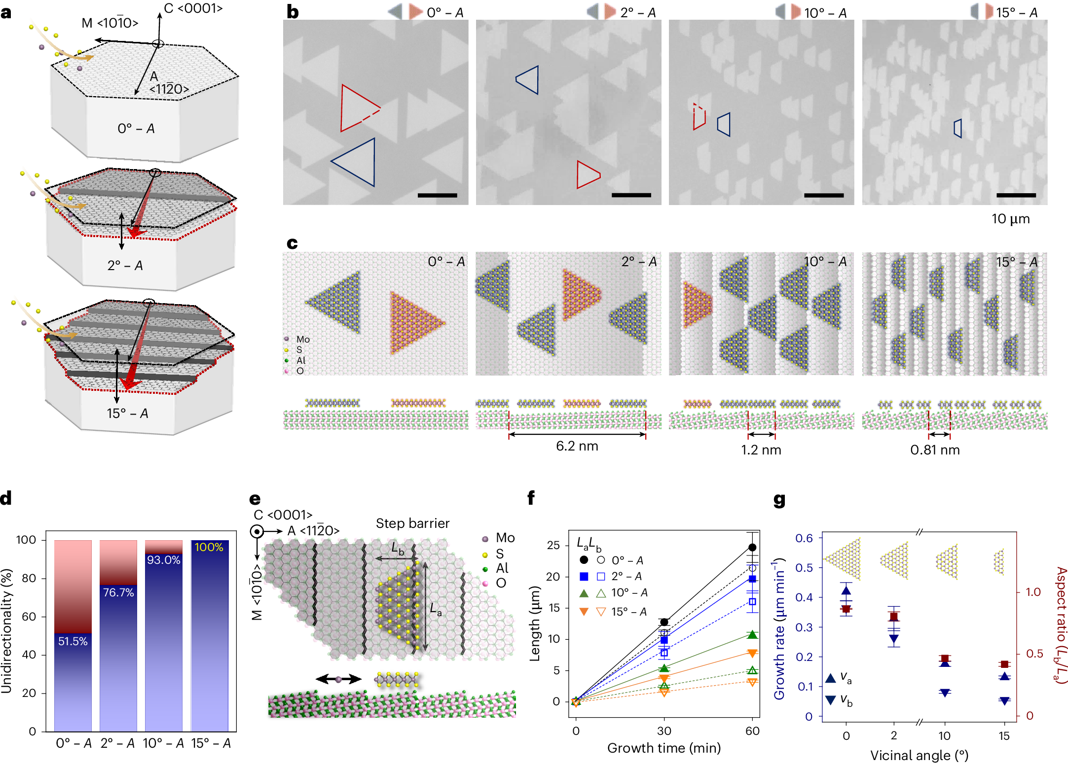 Fig. 1: Vicinal van der Waals epitaxy towards grain-boundary-free textures.
