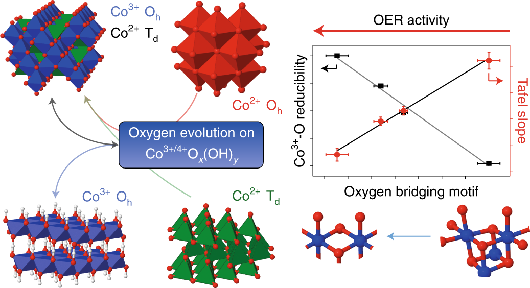 Unified structural motifs of the catalytically active state of  Co(oxyhydr)oxides during the electrochemical oxygen evolution reaction |  Nature Catalysis