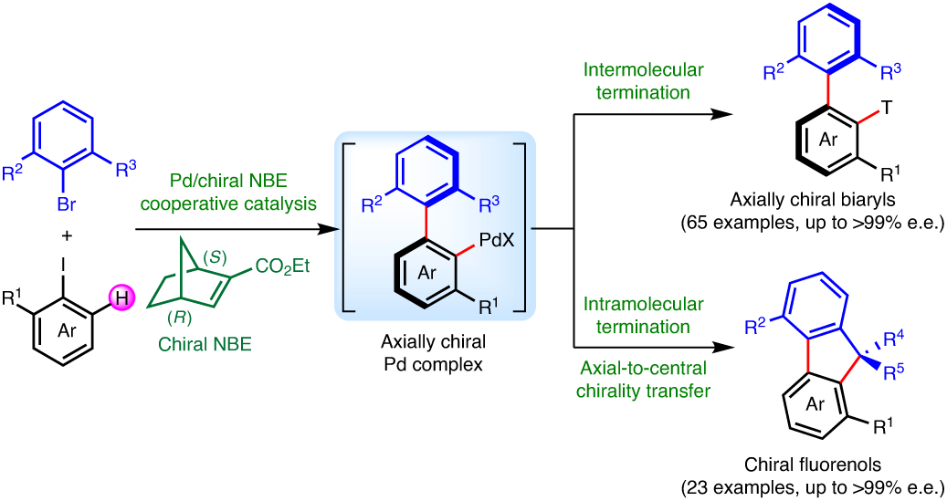 Construction of axial chirality via palladium/chiral norbornene cooperative  catalysis | Nature Catalysis