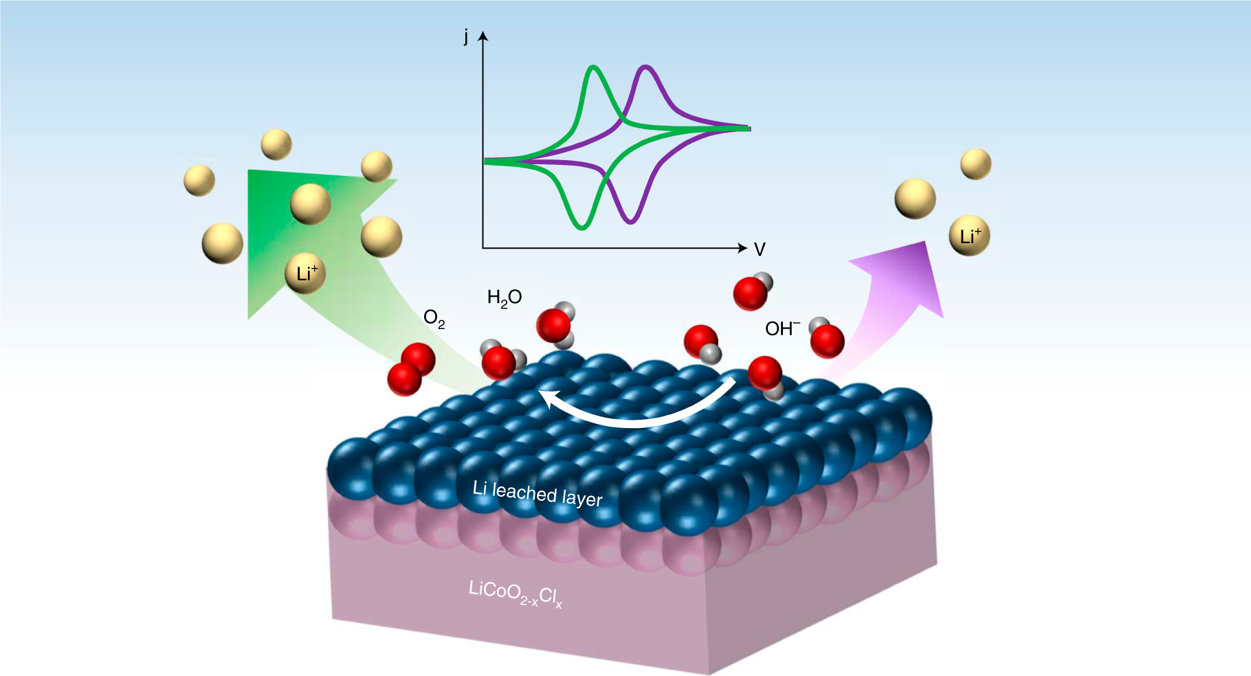 Redirecting Dynamic Surface Restructuring Of A Layered Transition Metal Oxide Catalyst For Superior Water Oxidation Nature Catalysis