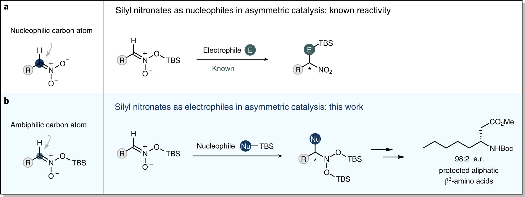 Fig. 1: Outline of this study.