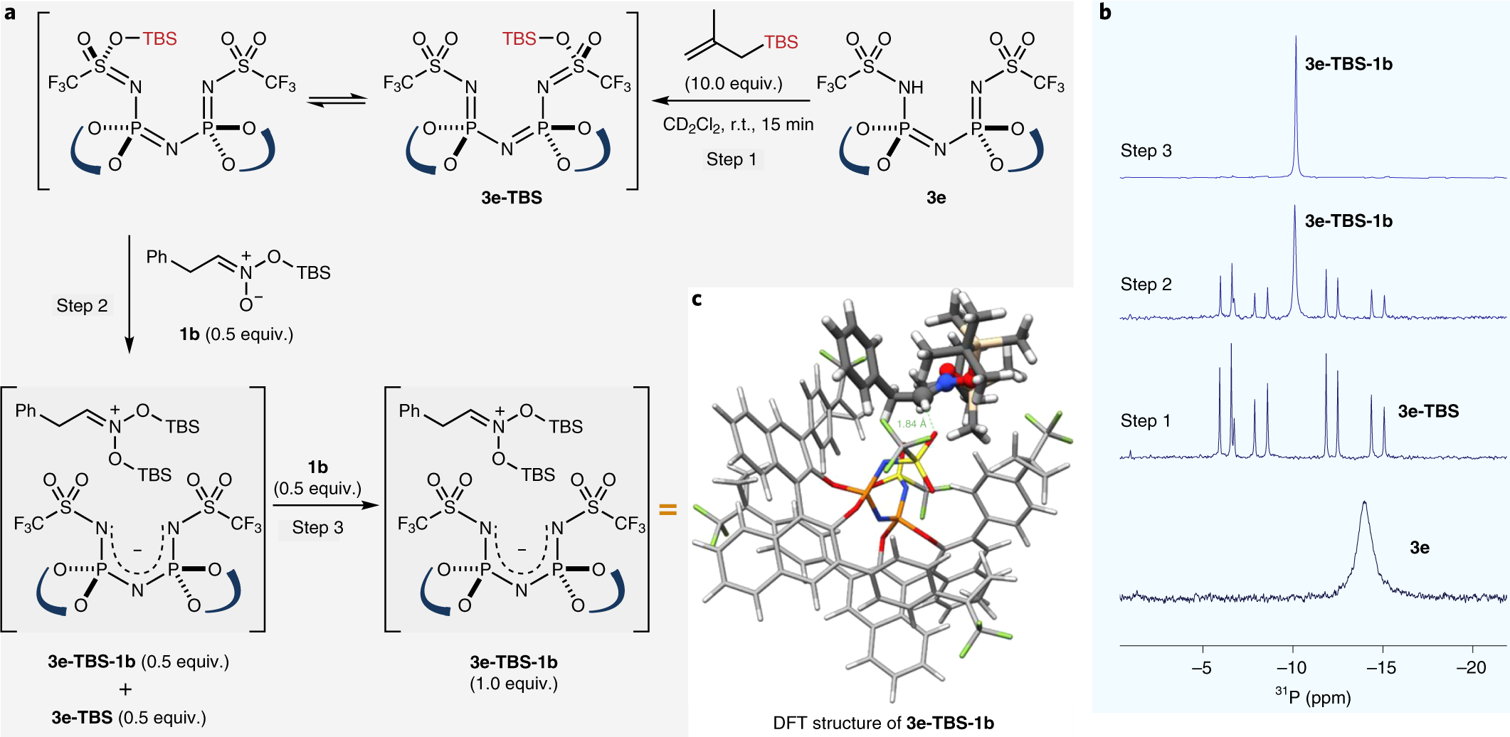 Fig. 7: NMR characterization of the ion pair between catalyst 3e and nitronate 1b.