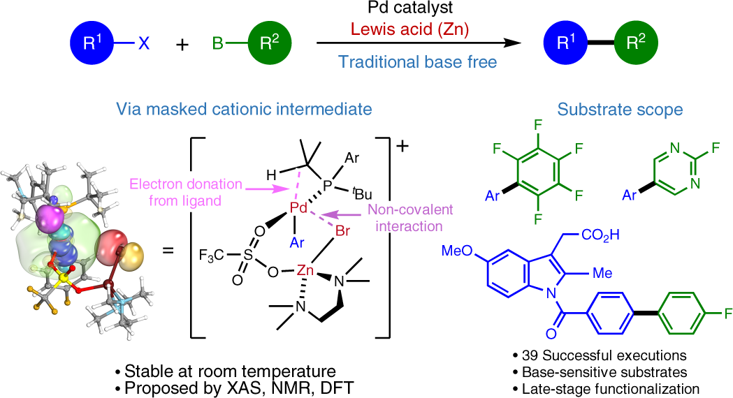 Base-Catalyzed Aryl-B(OH)2 Protodeboronation Revisited: From