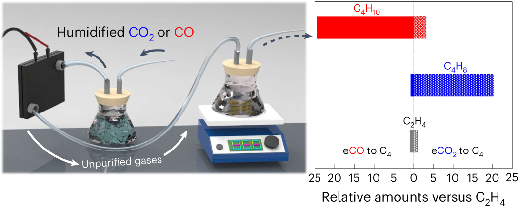 Formation of 1-Butanol from CO2 without *CO Dimerization on a