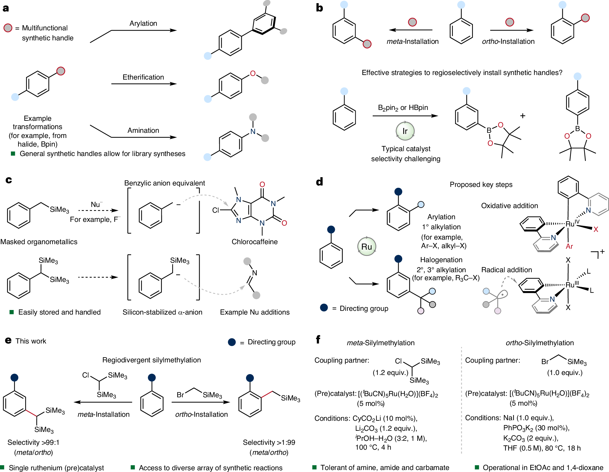 Fig. 1: Concepts and strategies for the installation of synthetic handles within arenes and their utility.