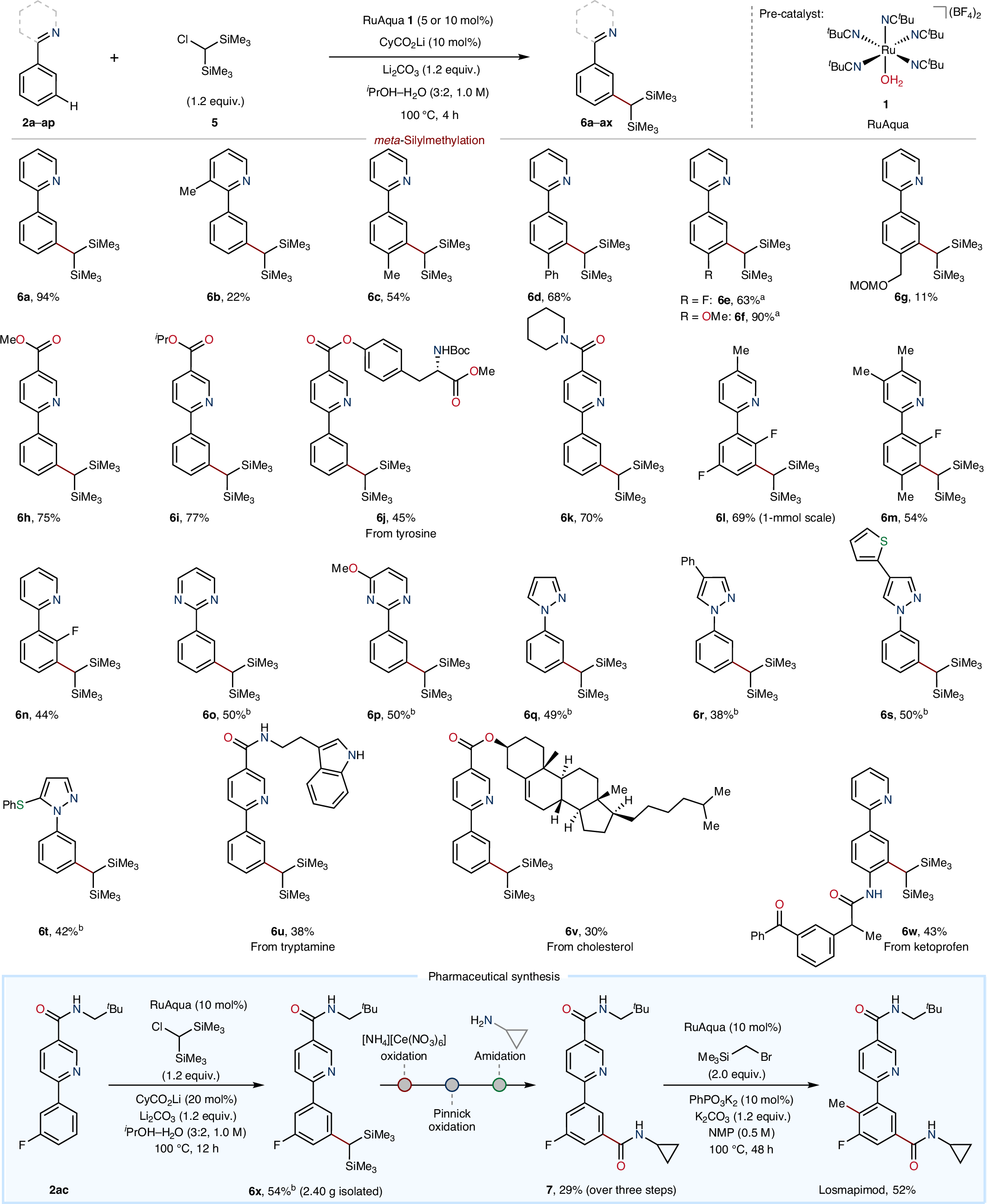 Fig. 3: Application of ruthenium-catalysed meta-silylmethylation to a range of arenes and utility in pharmaceutical synthesis.
