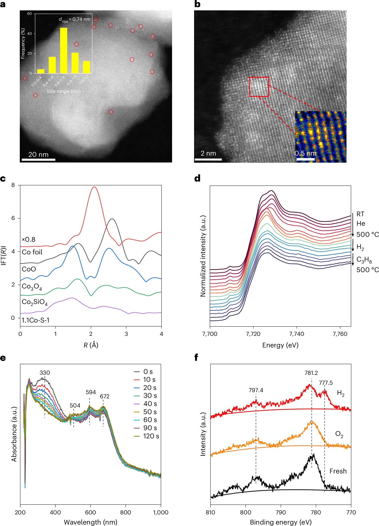 Fig. 4: Characterization of 1.1Co-S-1.