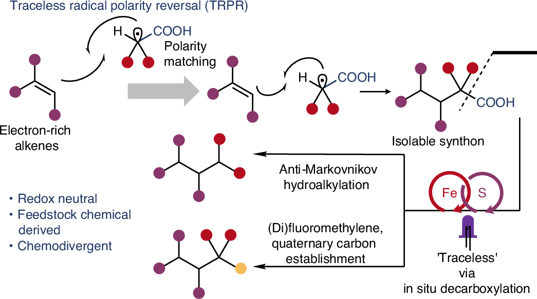 Photograph accompanying Rice chemists make a carbon act like fluorine to bond it onto an alkene