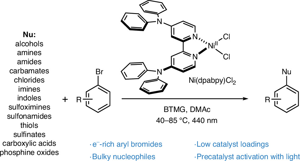 Photograph accompanying ISTA chemists design a ligand that cuts the nickel needed for light-driven cross-coupling
