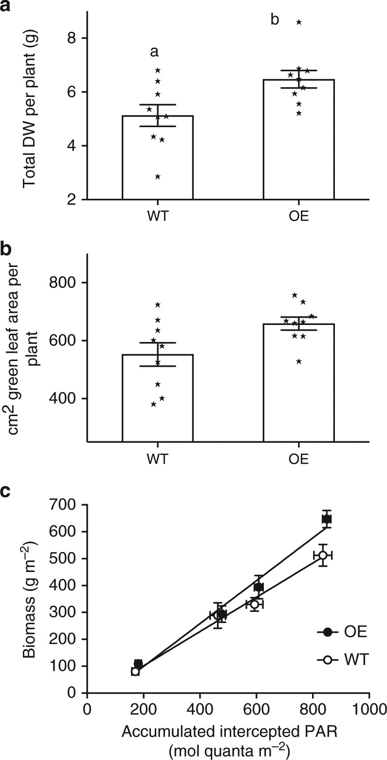 enhanced thylakoid photoprotection can