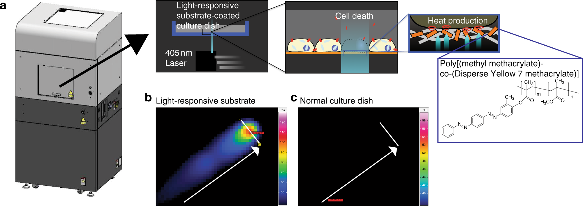 Automated adherent cell elimination by a high-speed laser mediated by a  light-responsive polymer | Communications Biology