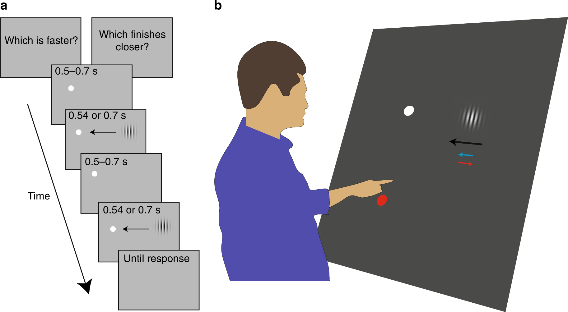 Scientists Find a Neurological Synergy in Explaining the Processing of a  Common Optical Illusion