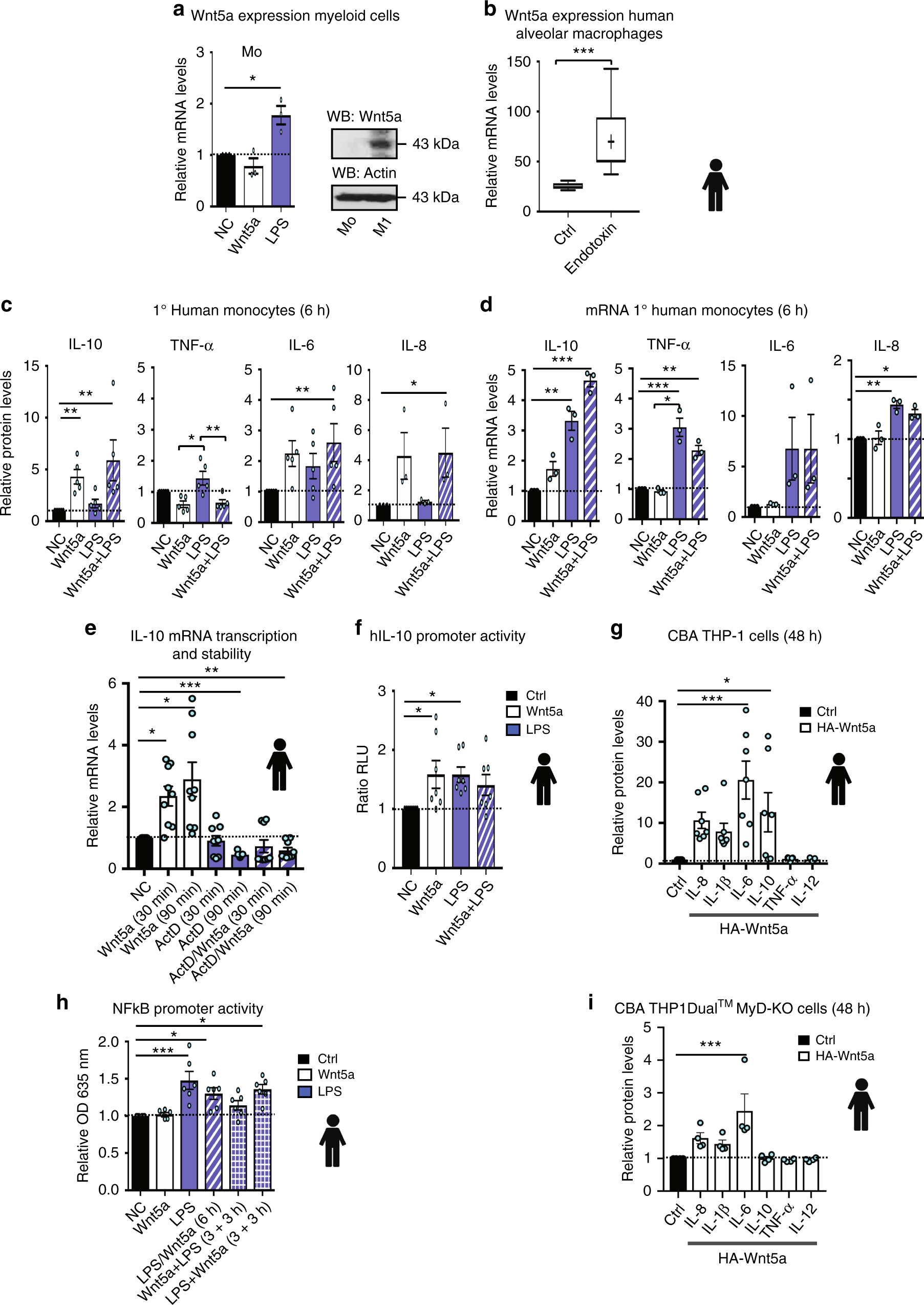 Wnt5a Is A Tlr2 4 Ligand That Induces Tolerance In Human Myeloid