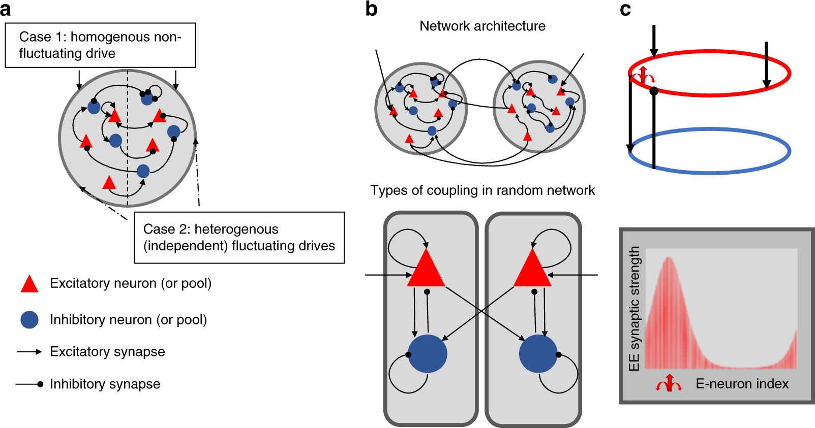 Dynamical modeling of multi-scale variability in neuronal competition |  Communications Biology