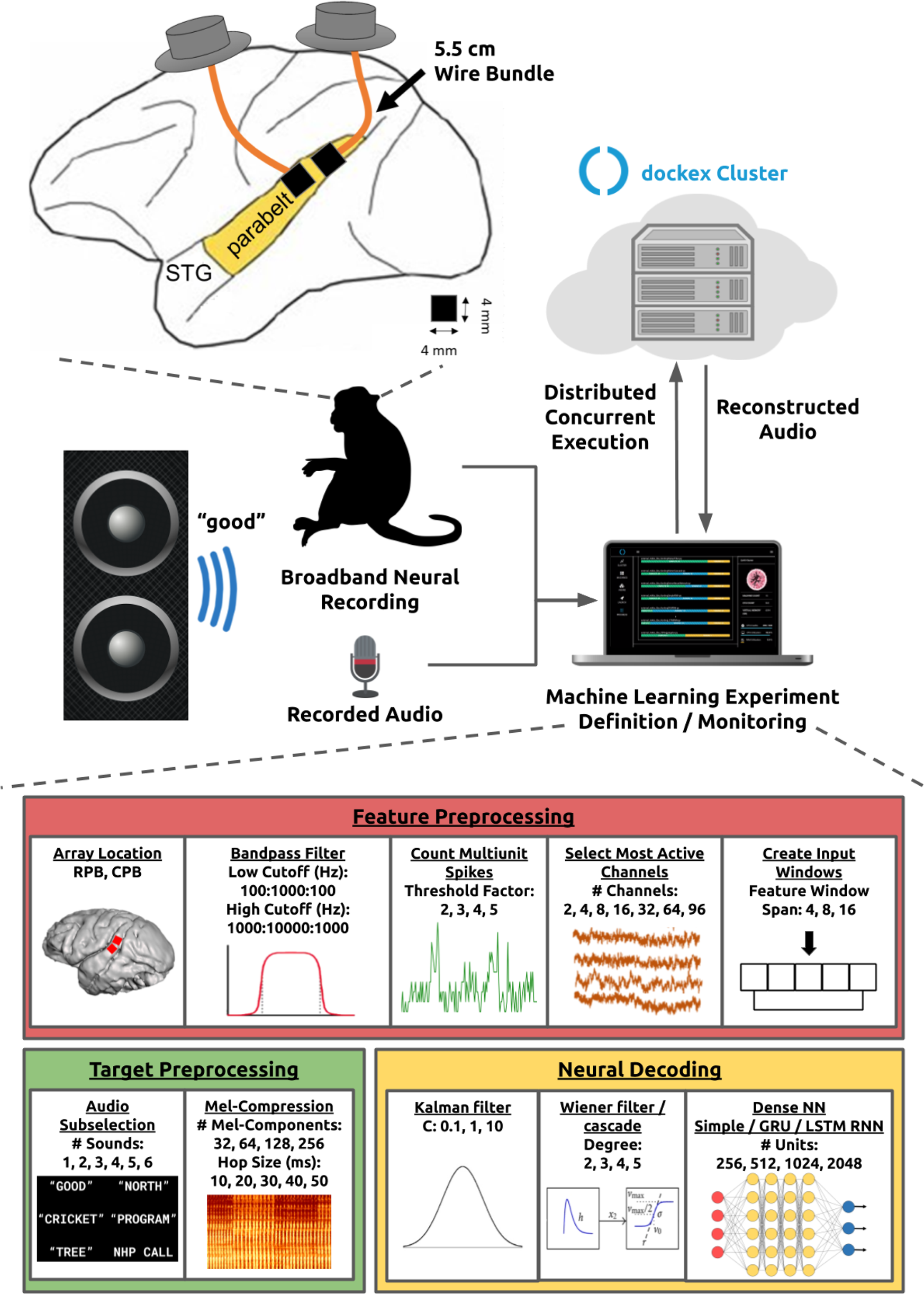 Decoding speech from spike-based neural population recordings in secondary  auditory cortex of non-human primates | Communications Biology