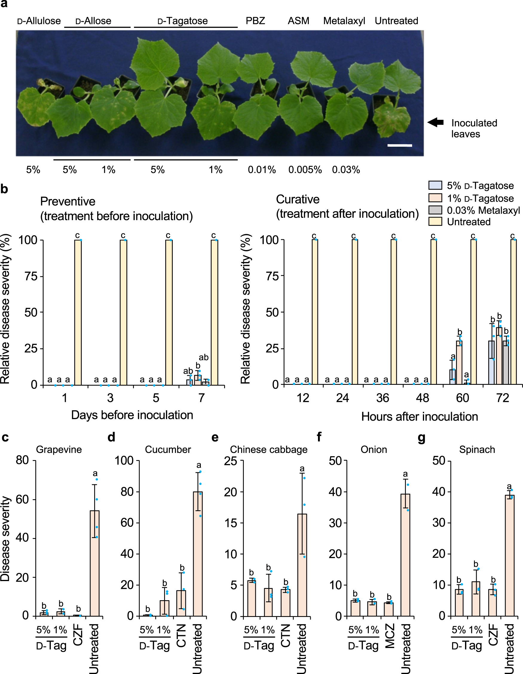 The rare sugar d-tagatose protects plants from downy mildews and is a safe  fungicidal agrochemical | Communications Biology