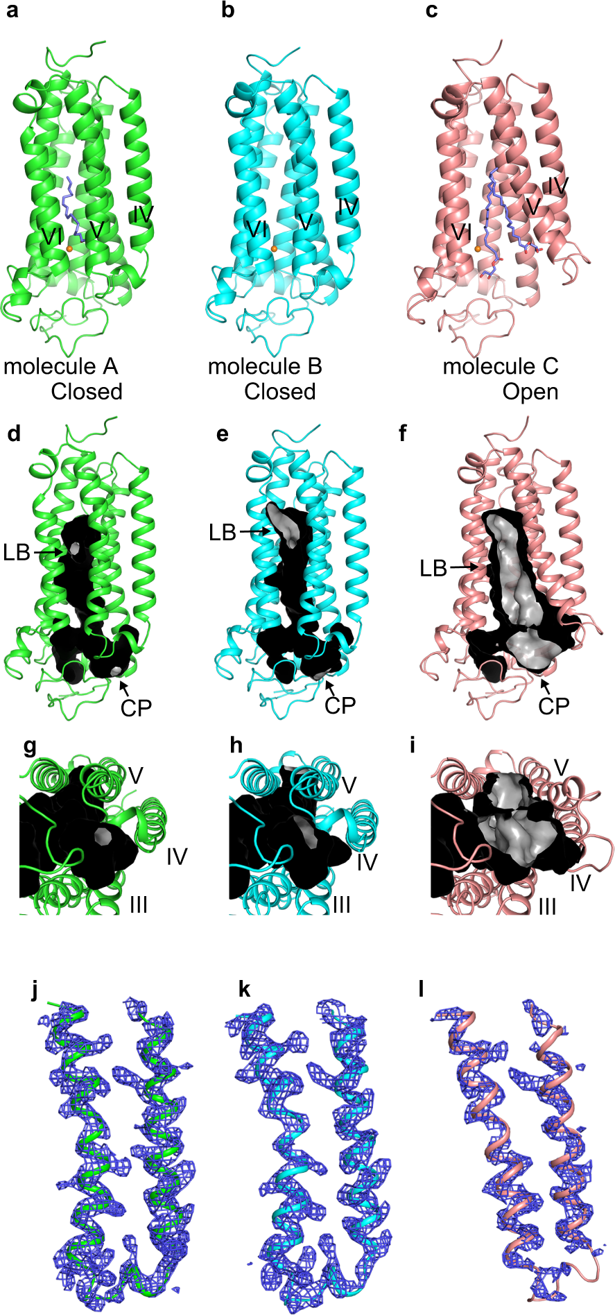 Fig. 1: Crystal structure of human AdipoR1(A208).