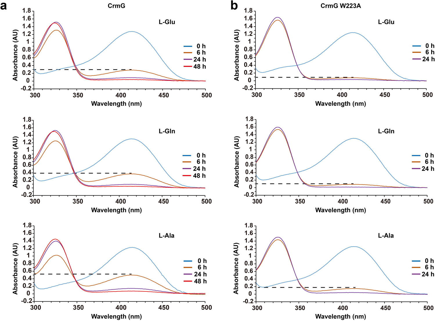 Fig. 4: Analysis of CrmG catalyzing PLP amination with excess amino donor.