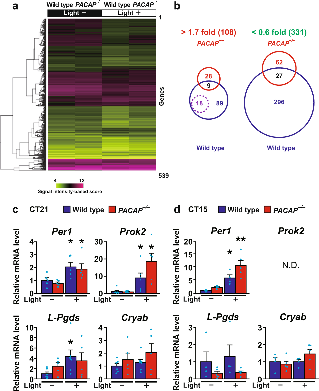 Lipocalin-type prostaglandin D synthase regulates light-induced phase advance of the central circadian rhythm in mice Communications Biology picture