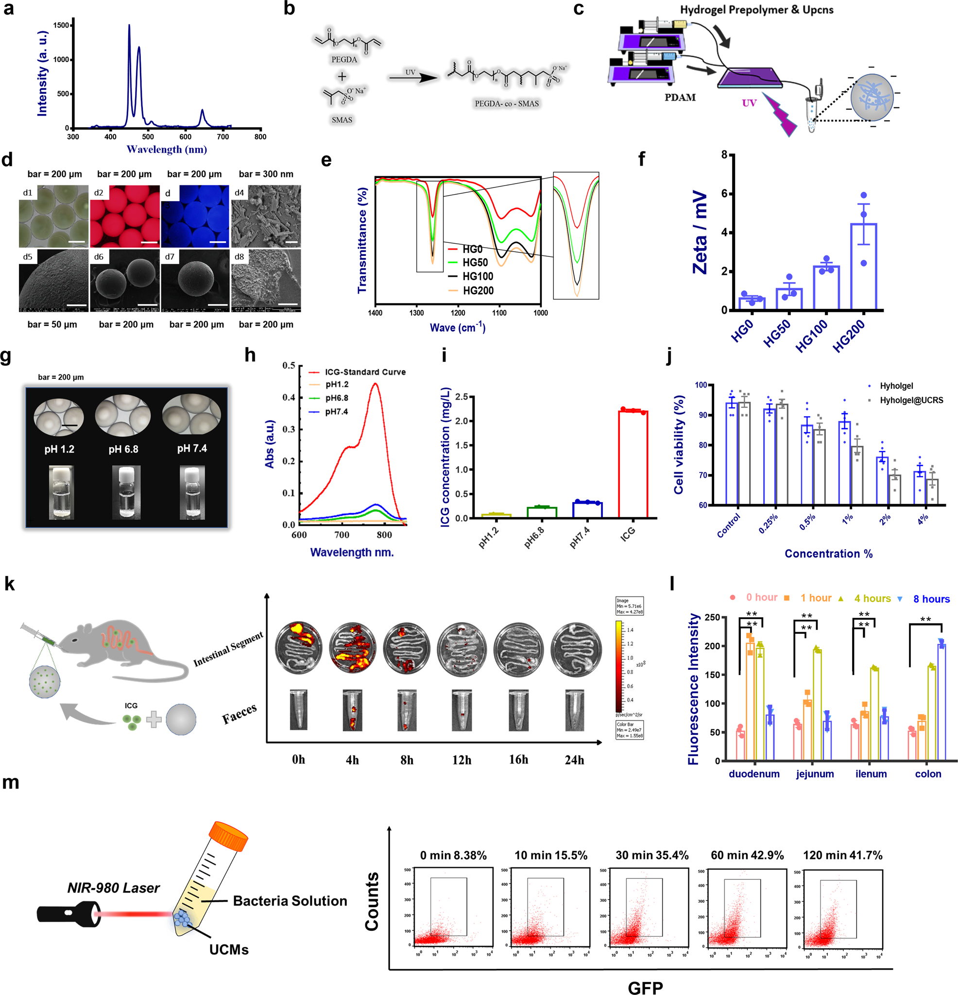 Fig. 4: Modification of secretory light-responsive engineered bacteria.