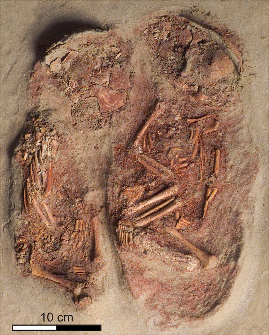 Ancient DNA reveals monozygotic newborn twins from the Upper Palaeolithic | Communications Biology