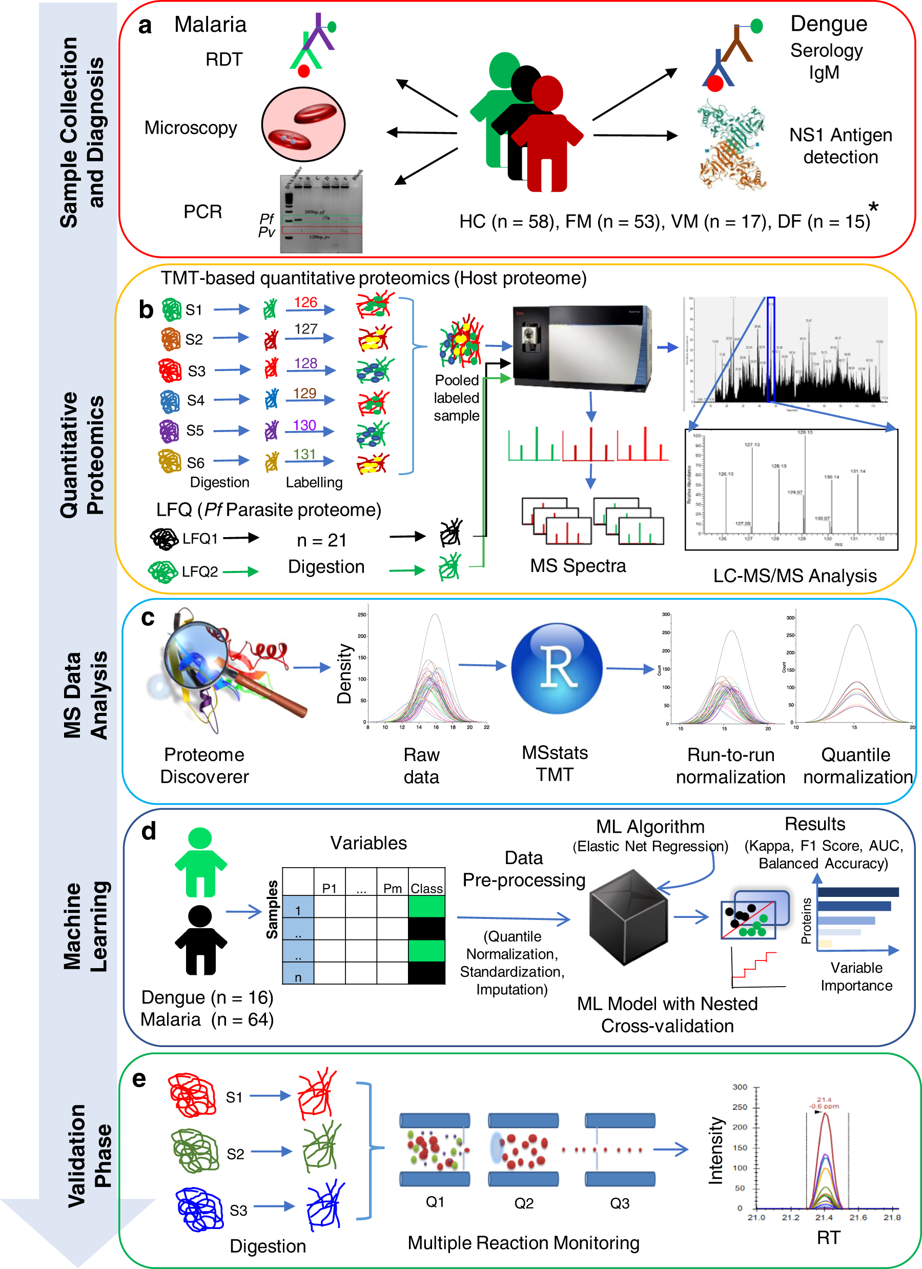 Fig. 1: Schematic representation of the experimental strategy used in discovery-phase proteomics and for targeted validation of potential biomarkers in plasma samples.
