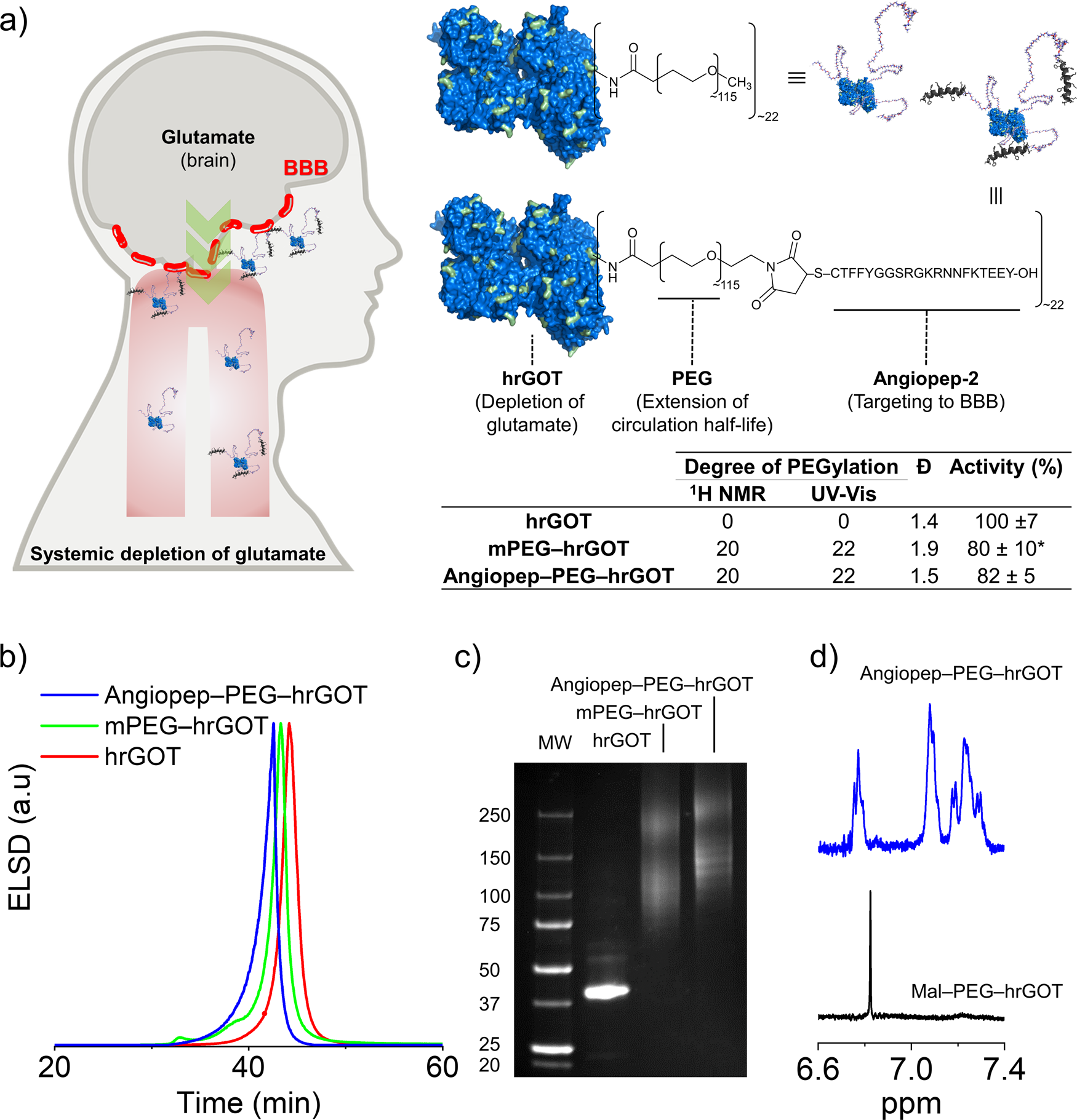 Ontwarren leef ermee Afleiden Sustained blood glutamate scavenging enhances protection in ischemic stroke | Communications Biology Ontwarren leef ermee Afleiden Sustained blood glutamate scavenging enhances protection in ischemic stroke | Communications Biology