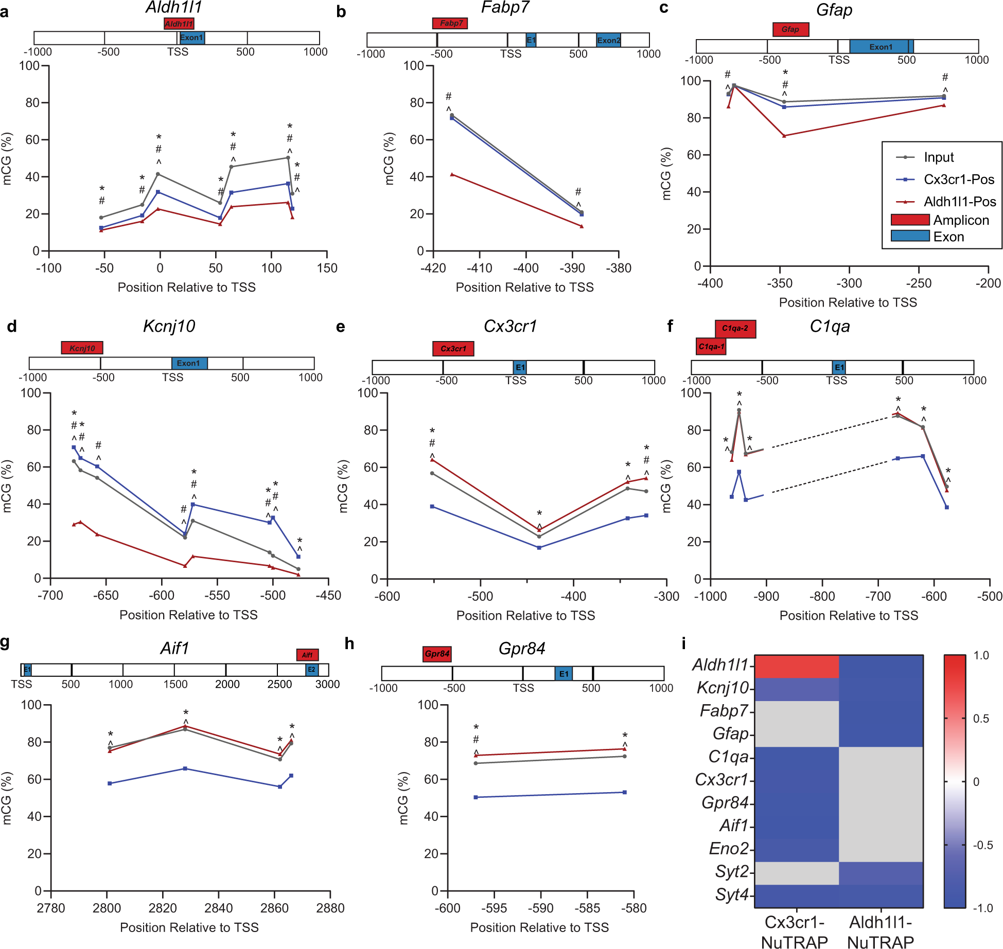 Fig. 10: CG methylation (mCG) in specific gene promoters and intragenic regions in Cx3cr1-NuTRAP and Aldh1l1-NuTRAP mouse brain and correlation of gene promoter methylation with gene expression.