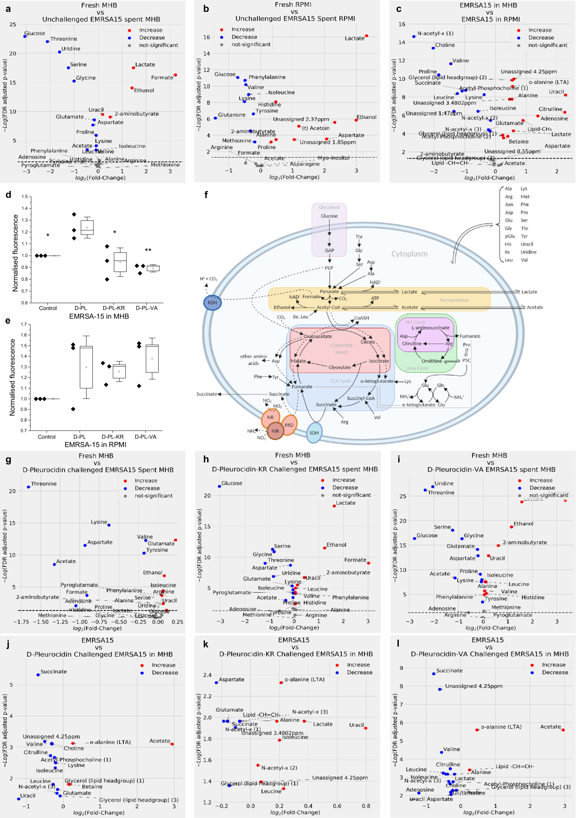 Fig. 4: NMR metabolomics identifies altered mechanism of action in d-pleurocidin analogues.