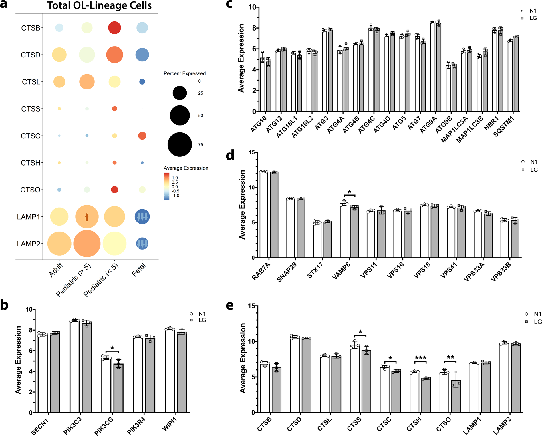 Fig. 5: Differential baseline expression of genes of the autophagy pathway in adult, pediatric, and fetal OL-lineage cells.