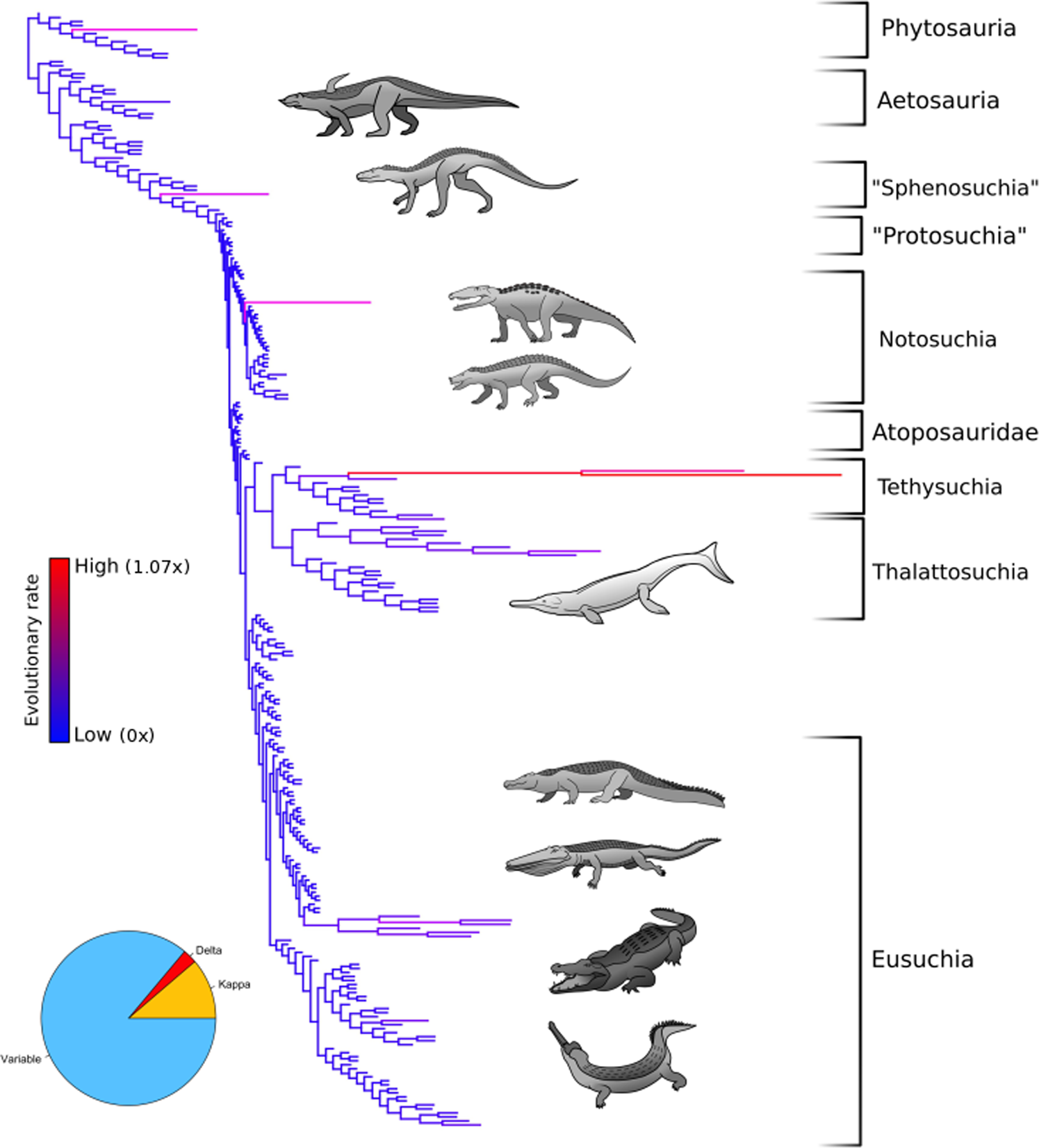 Environmental drivers of body size evolution in crocodile-line archosaurs |  Communications Biology