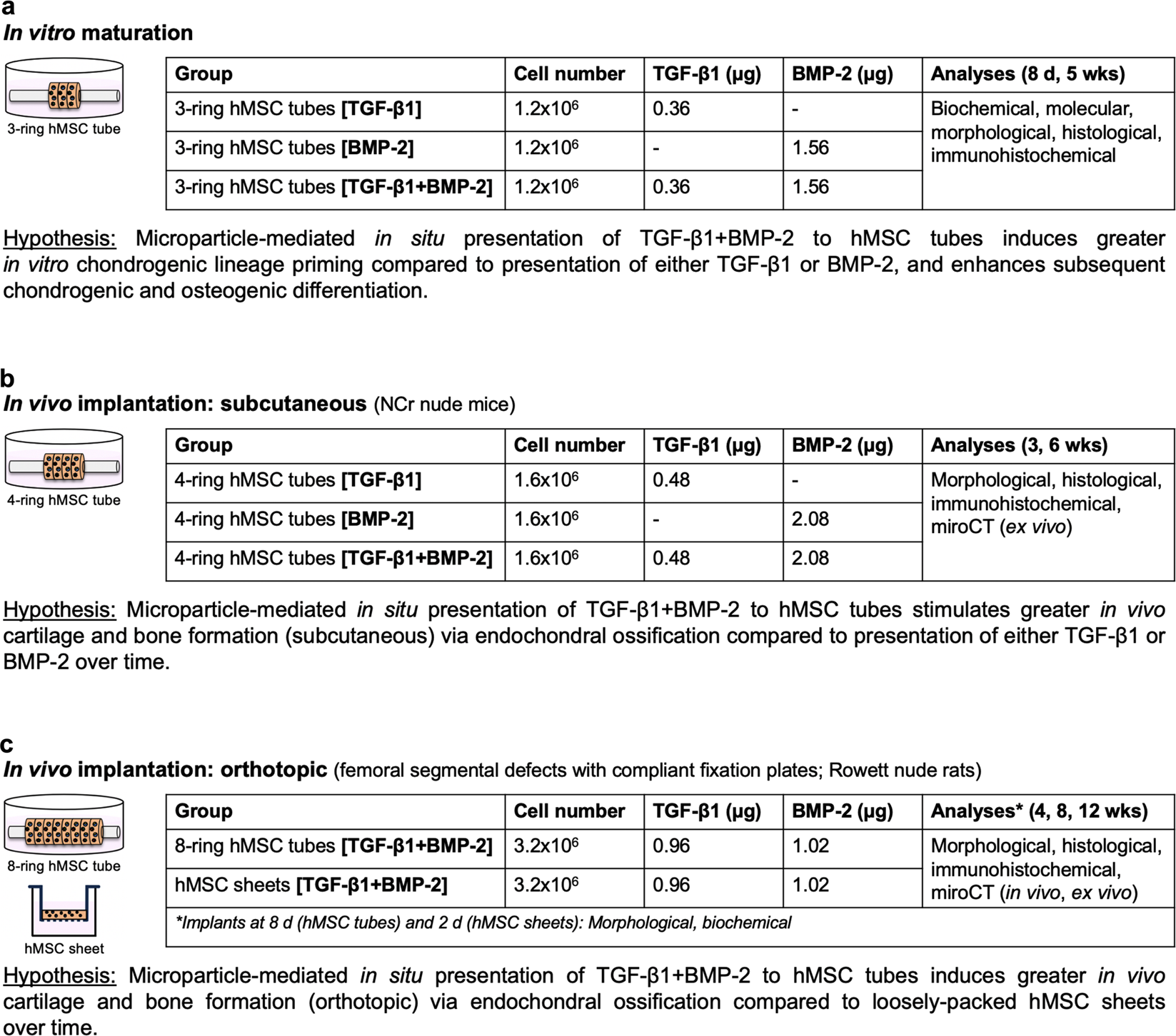 e-transcript viewer syracuse e-transcript viewer syracuse