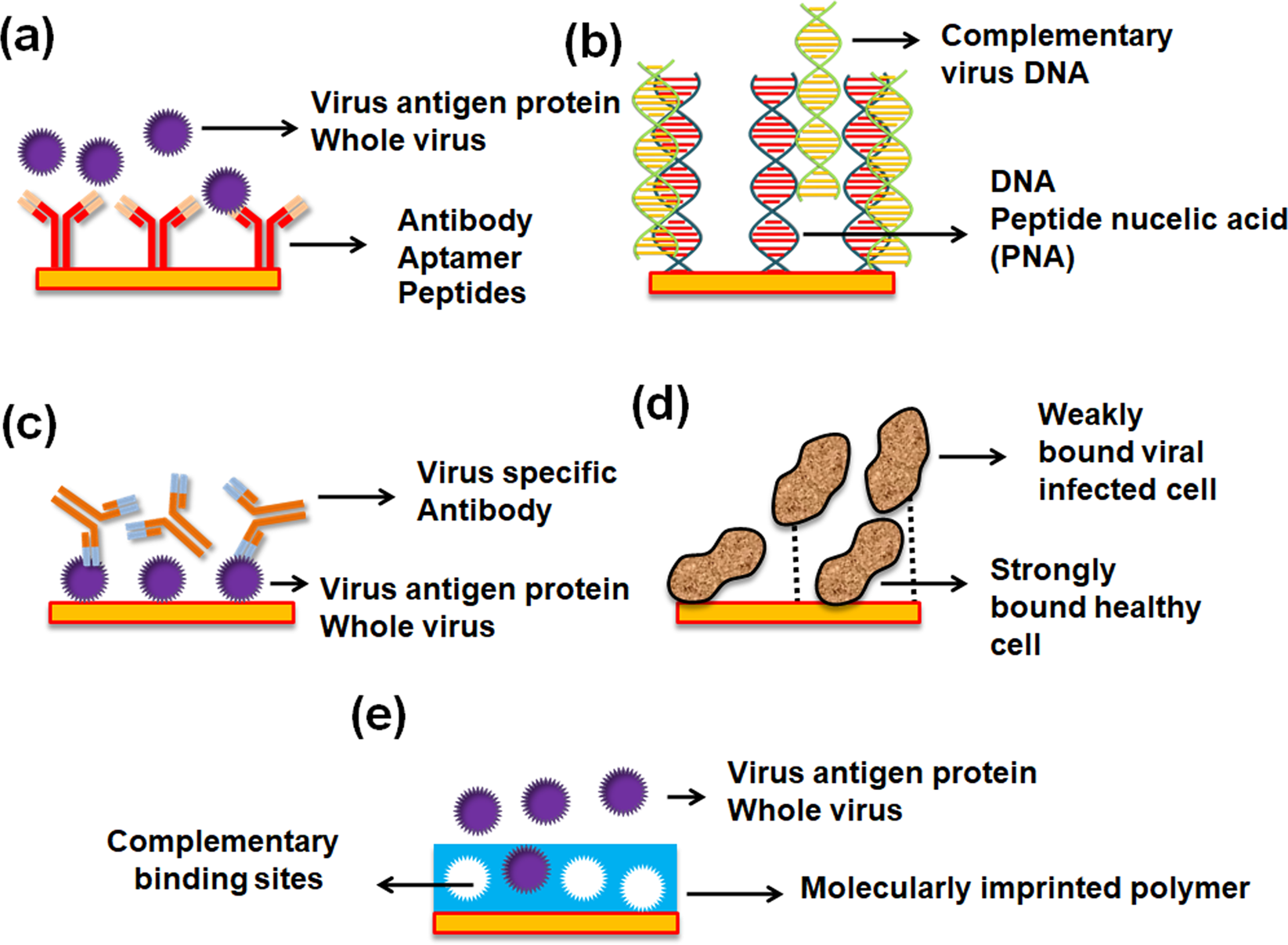 A comprehensive review on plasmonic-based biosensors used in viral