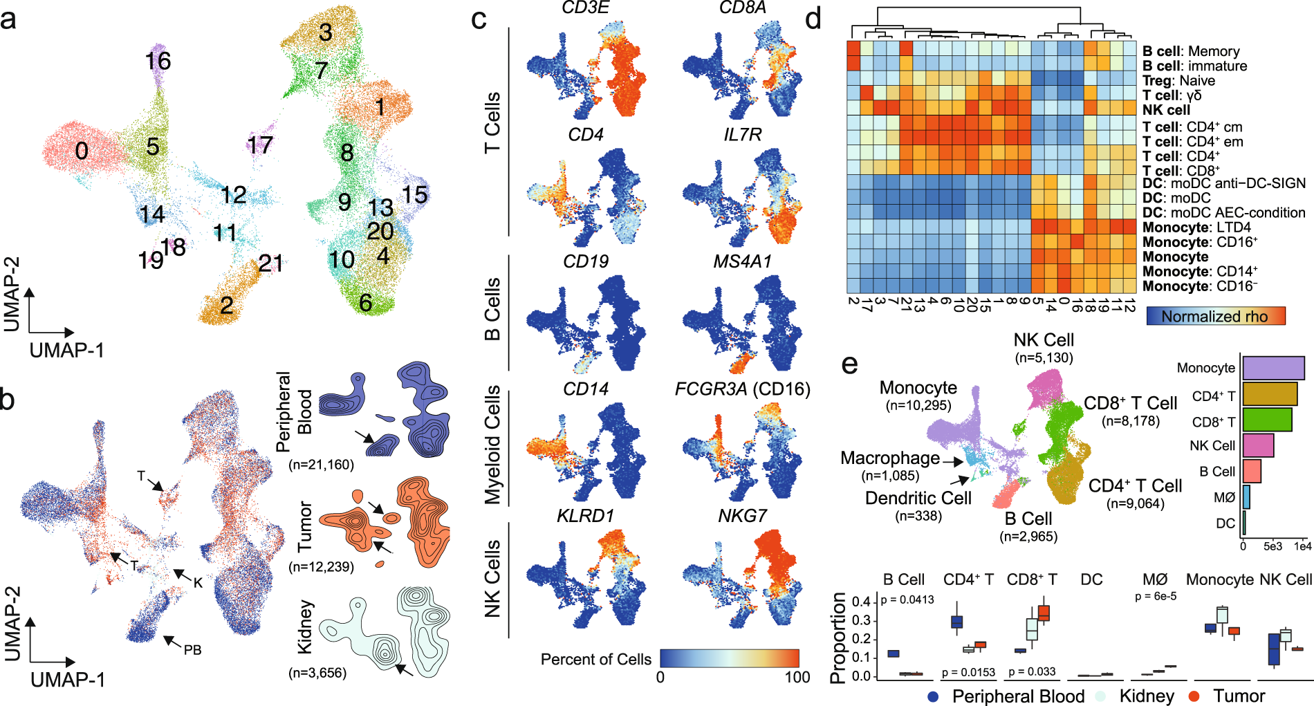 Mapping the immune environment in clear cell renal carcinoma by single-cell  genomics | Communications Biology