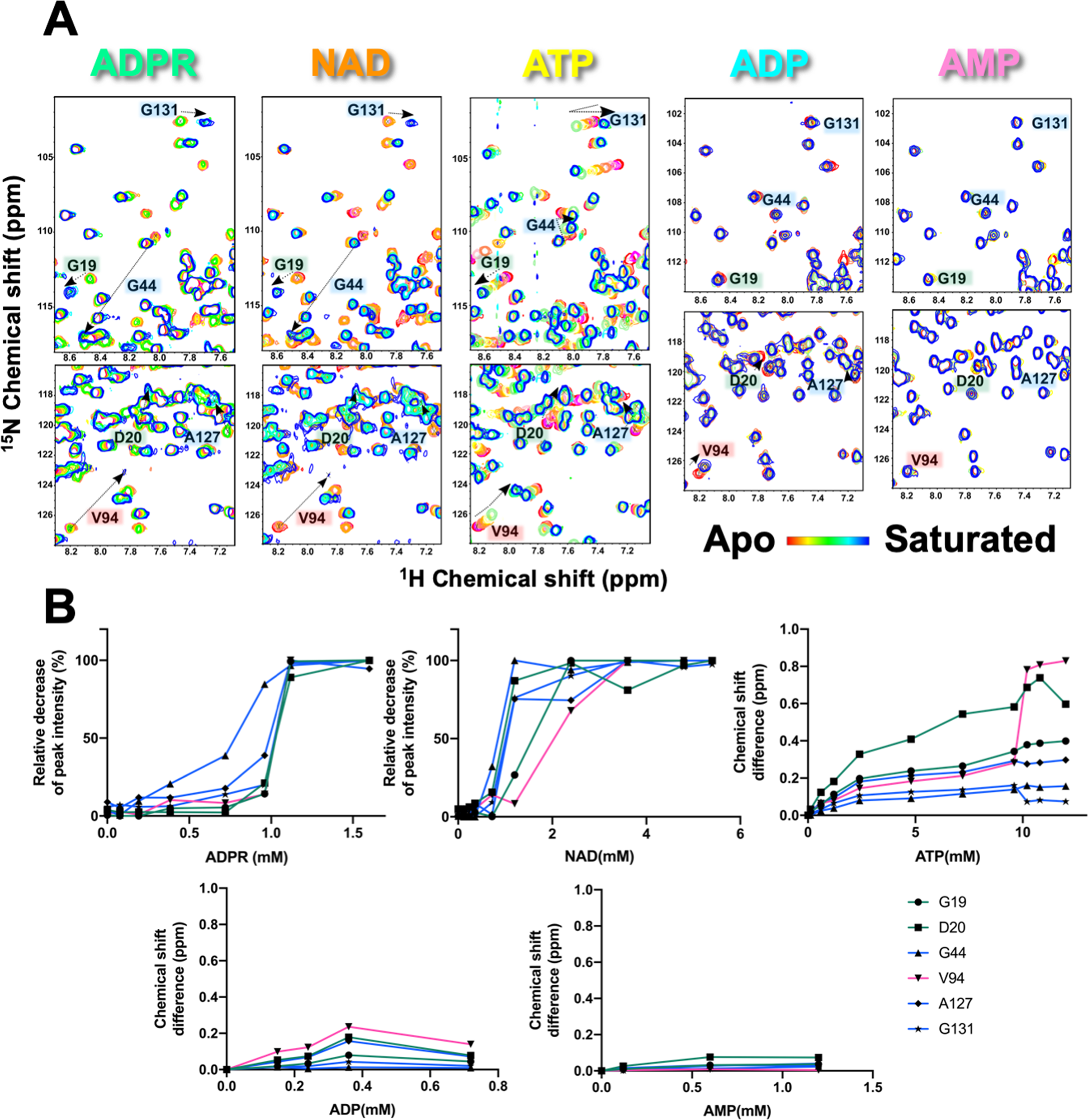Fig. 5: Chemical shift perturbations of residues in three regions of ligand binding site at 308 K.