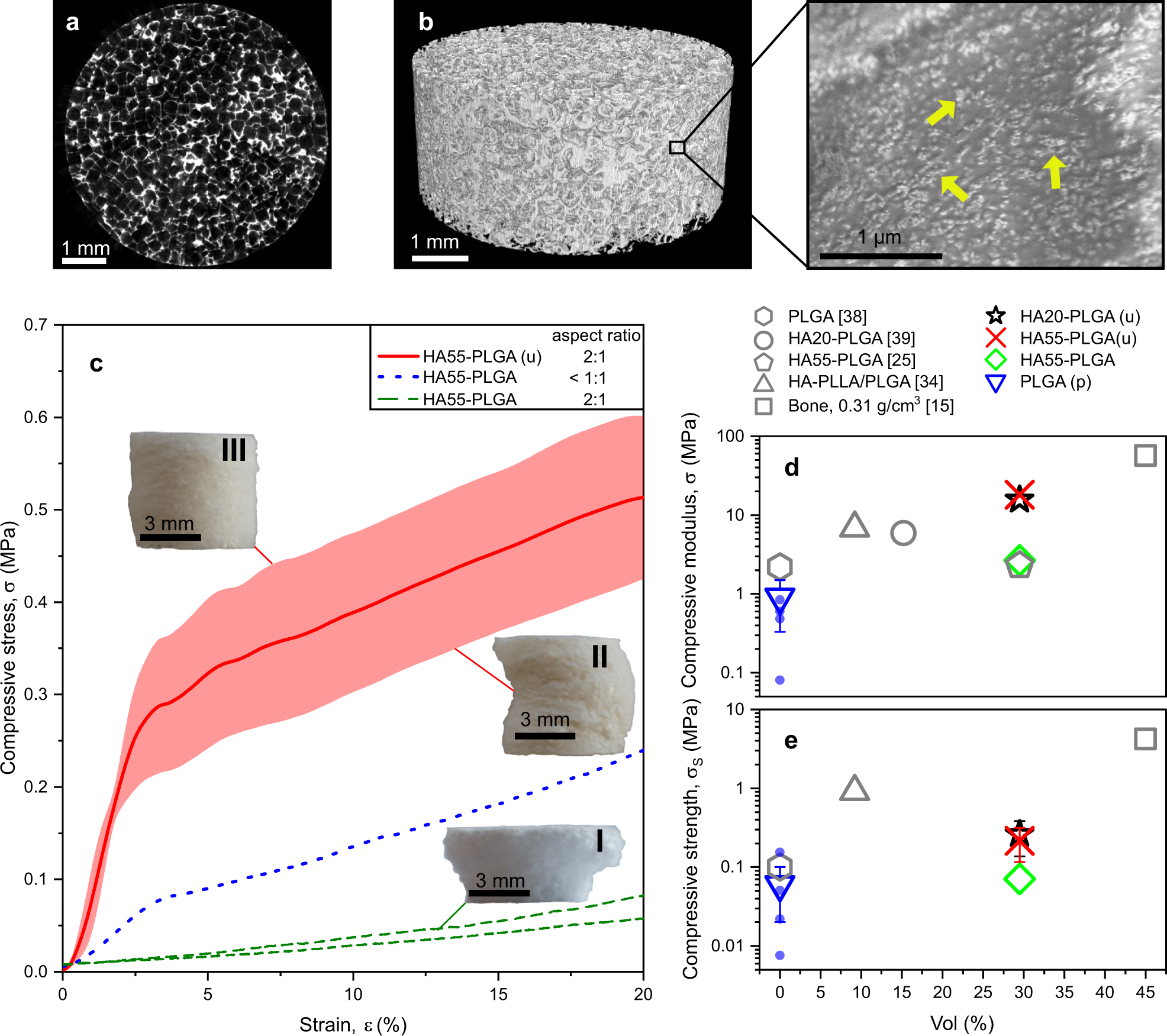 Time-lapsed imaging of nanocomposite scaffolds reveals increased bone  formation in dynamic compression bioreactors | Communications Biology