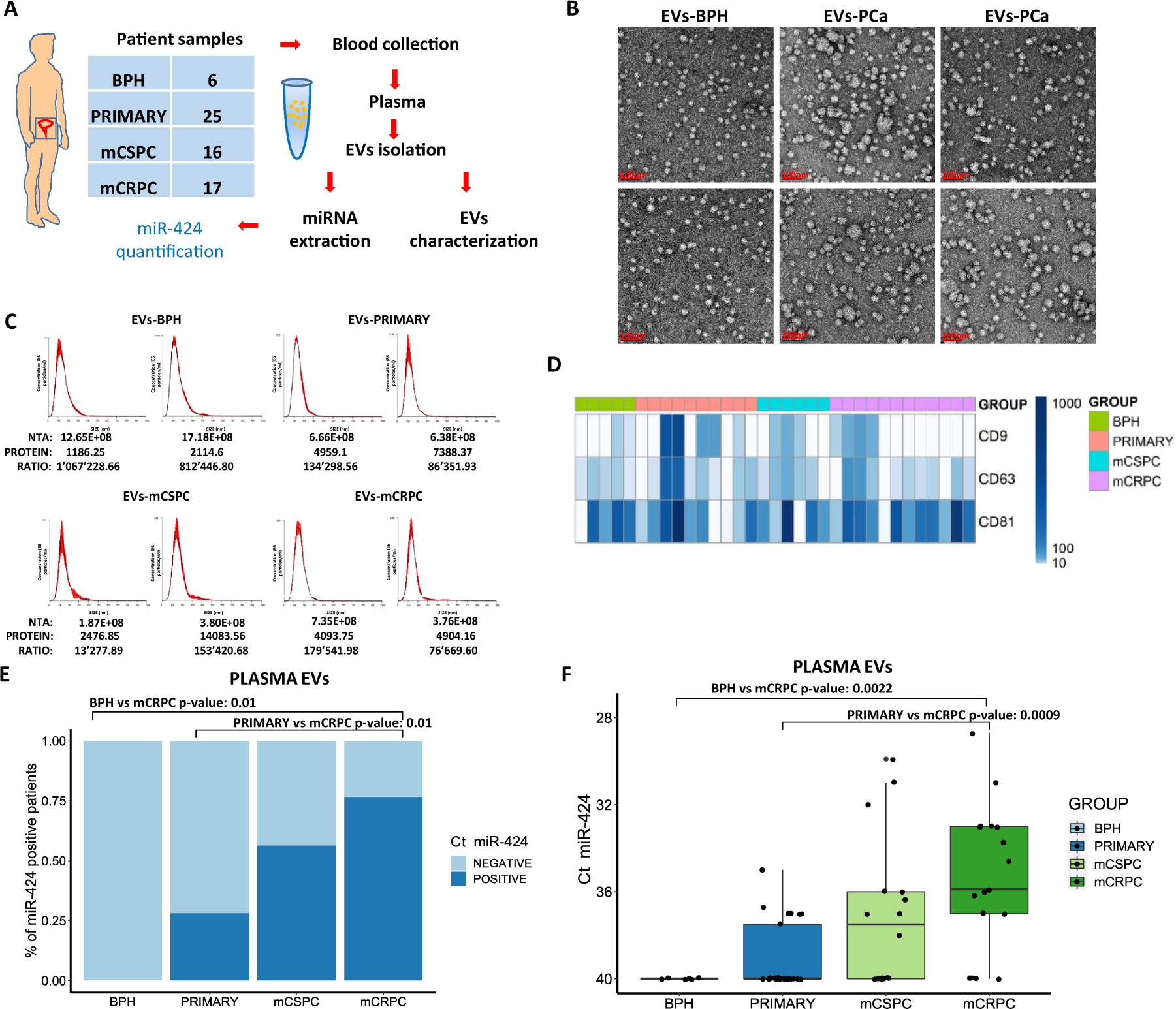 Circulating extracellular vesicles release oncogenic miR-424 in  experimental models and patients with aggressive prostate cancer |  Communications Biology