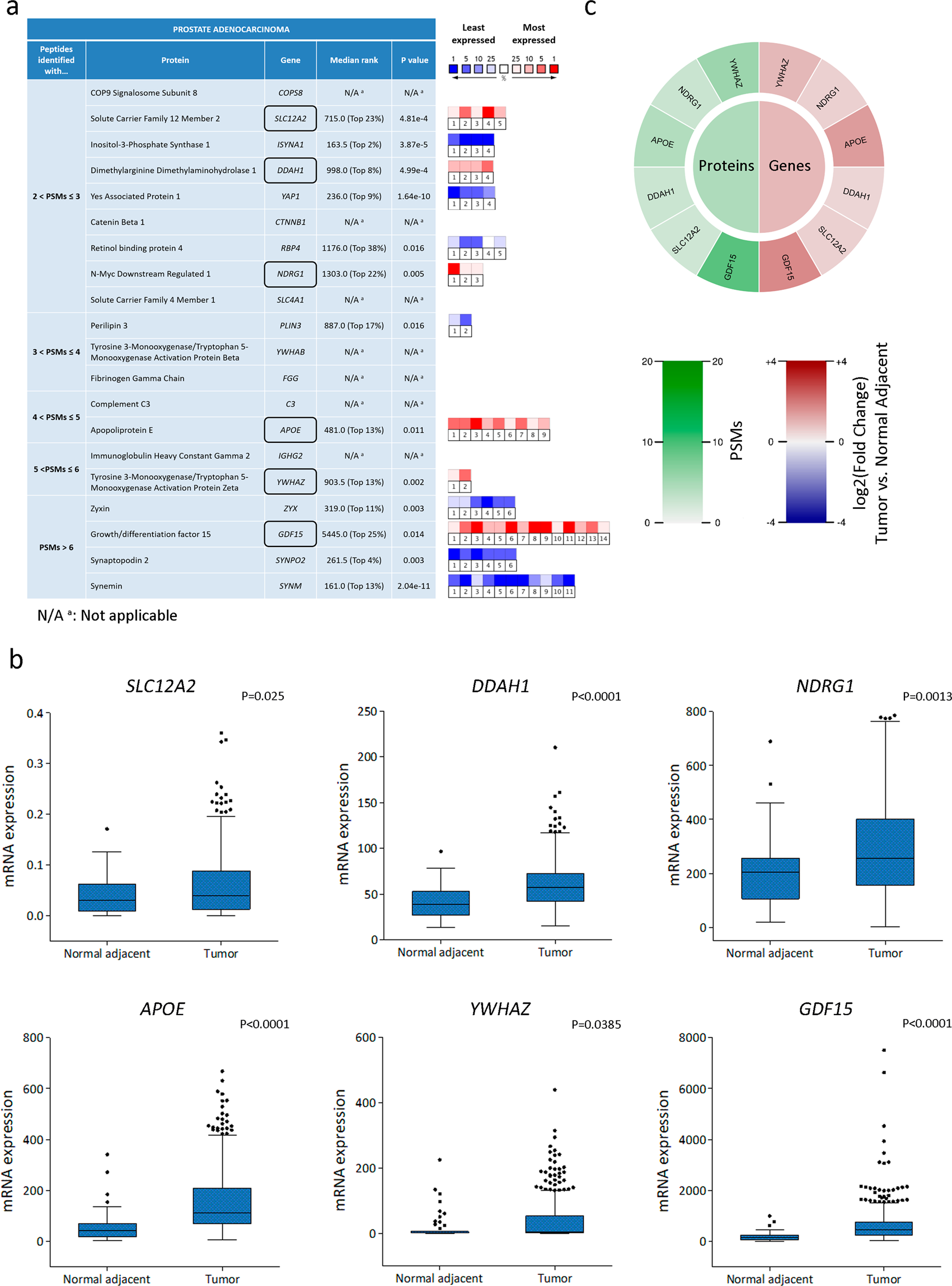Fig. 2: Correlation between proteomics and trancriptomics data for the PCa selected enriched proteins.