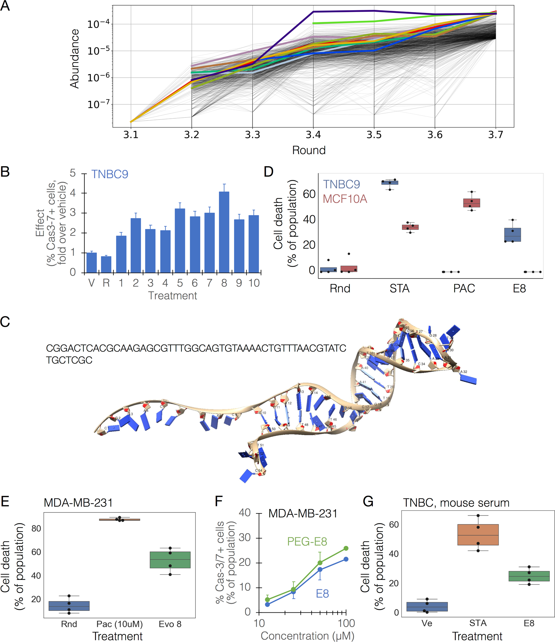 Fig. 2: Identification of a lead candidate, E8, from a tumoricidal oligo library.