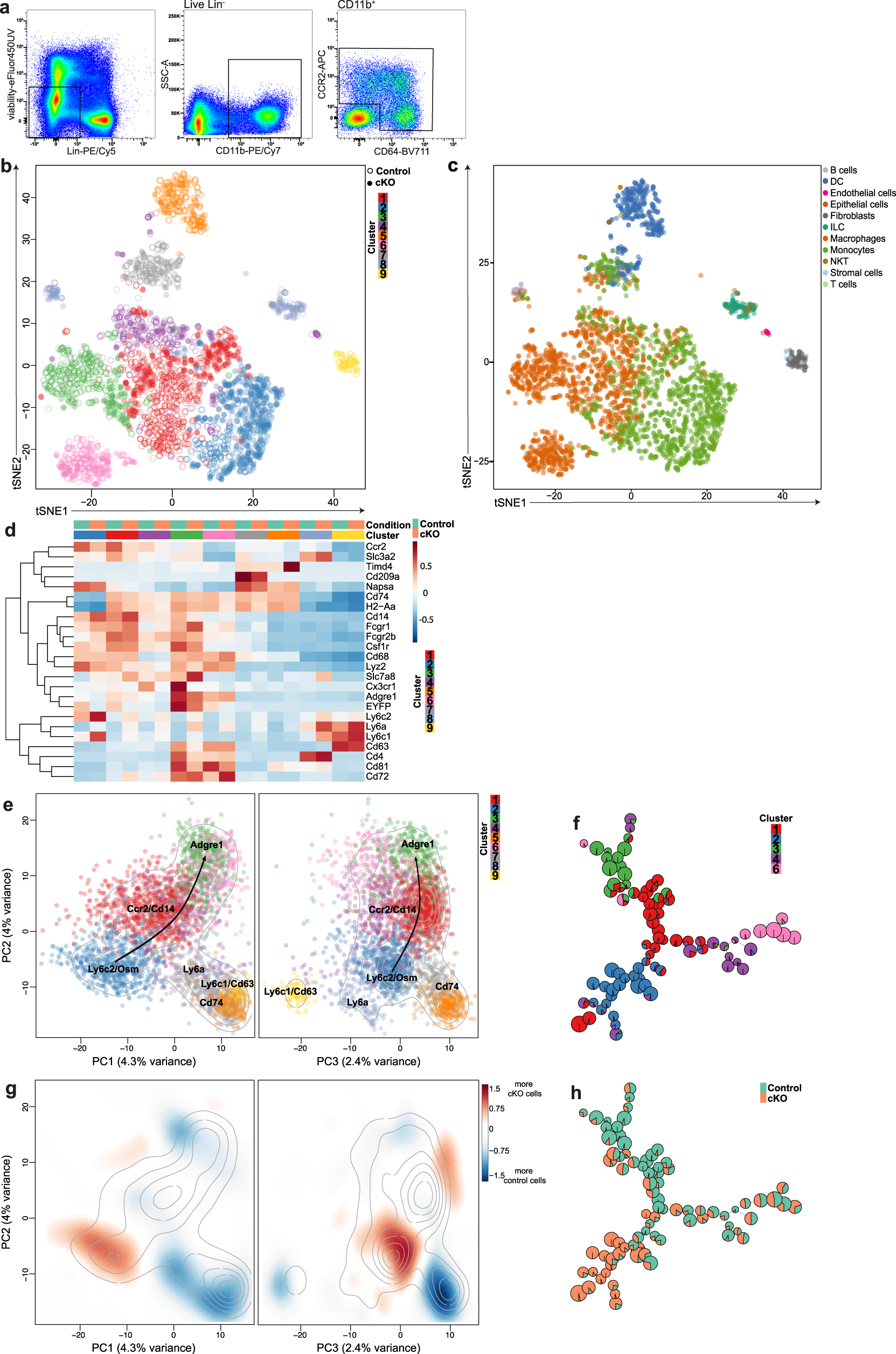 Fig. 5: Single-cell RNA sequencing suggests a developmental trajectory from monocytes to macrophages in the colonic lamina propria.