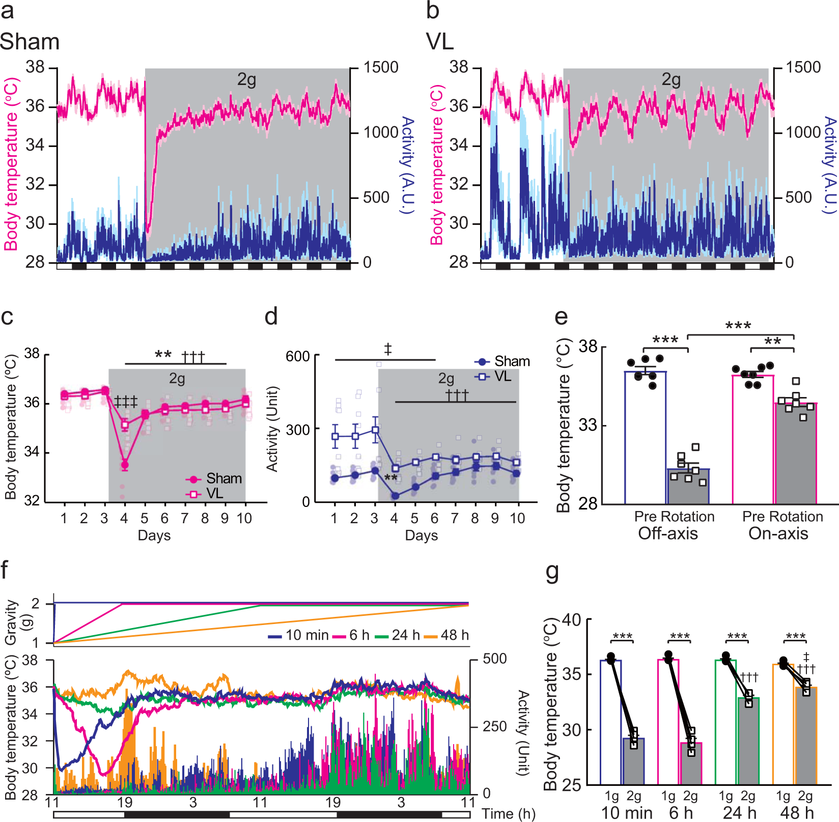 Vglut2 Expressing Neurons In The Vestibular Nuclear Complex Mediate Gravitational Stress Induced Hypothermia In Mice Communications Biology