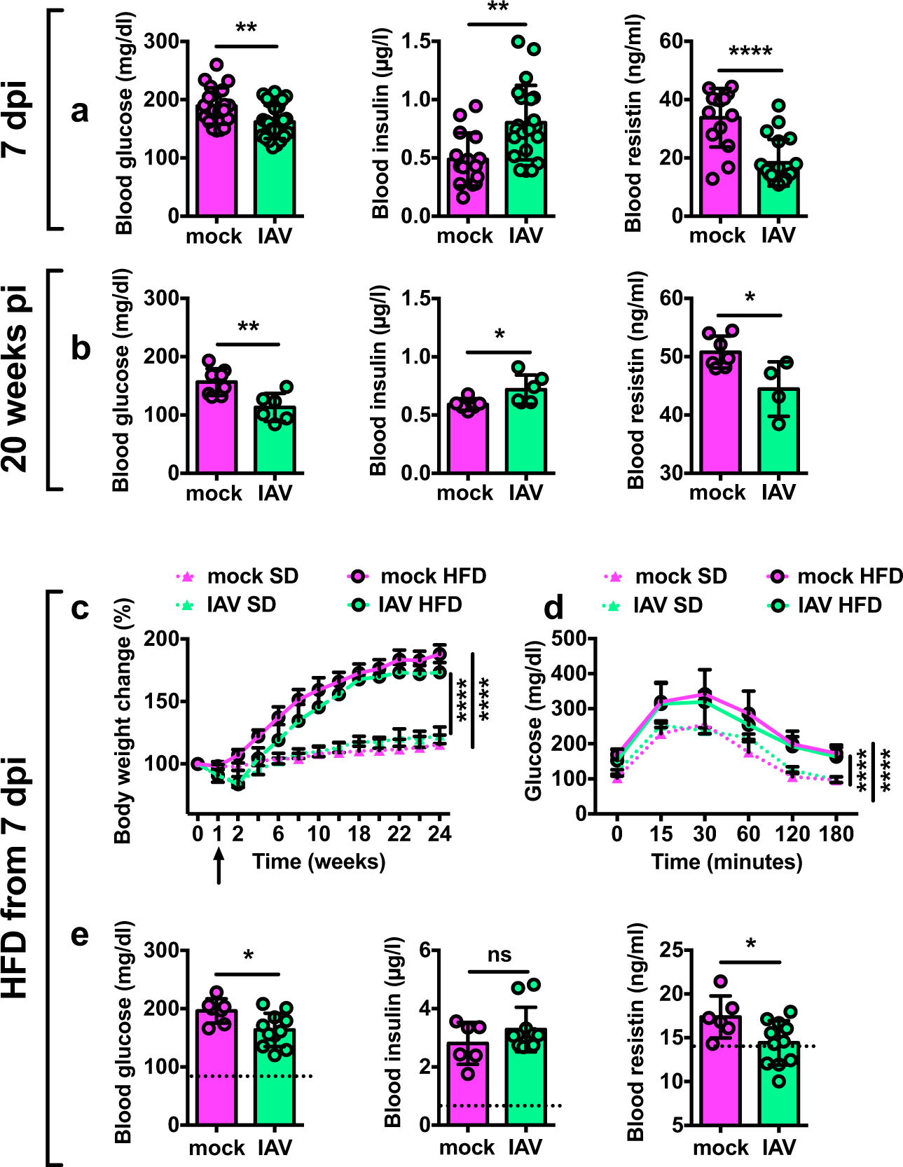 Fig. 4: Influenza durably alters the host’s energy metabolism.