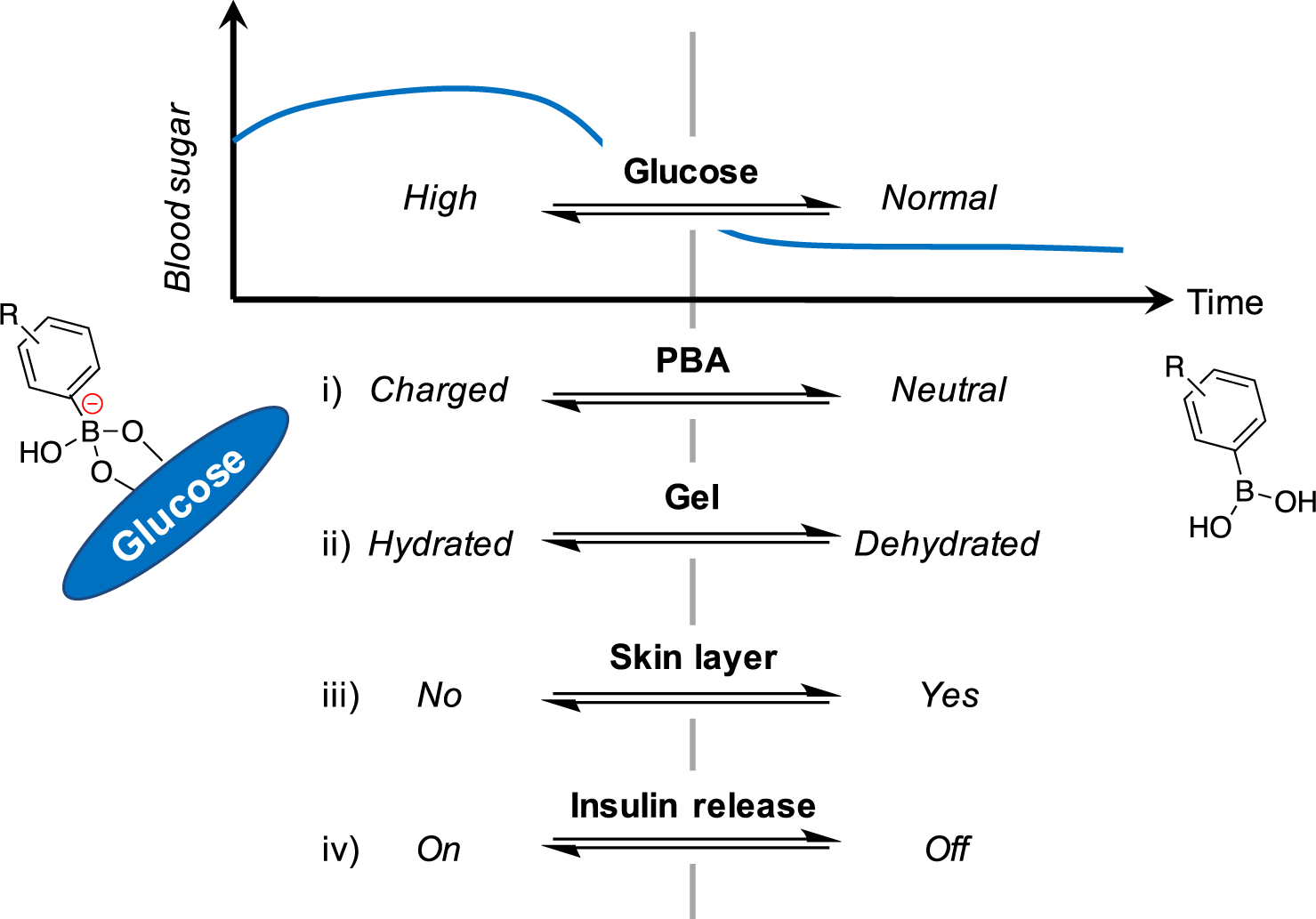 Hollow fiber-combined glucose-responsive gel technology as an in vivo  electronics-free insulin delivery system