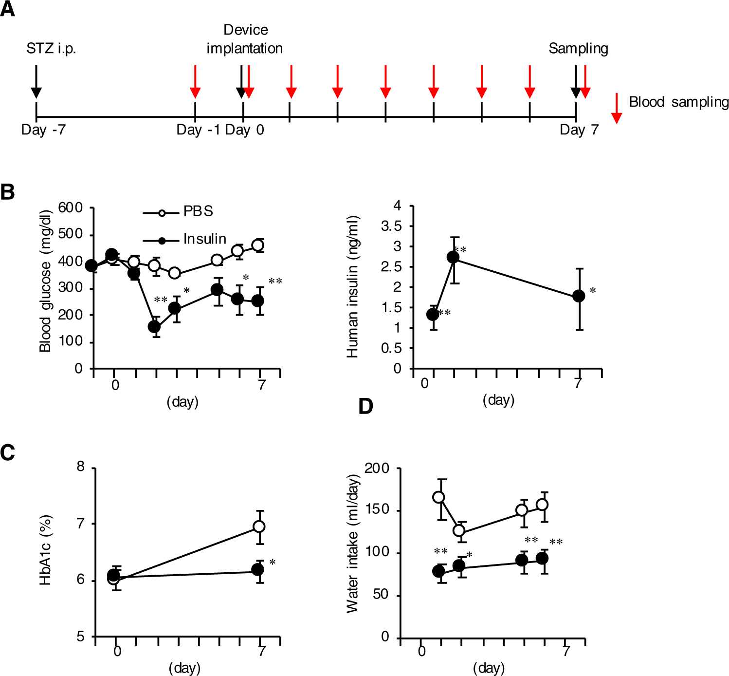 Fig. 7: Therapeutic efficacy for type 1 diabetes in rats.