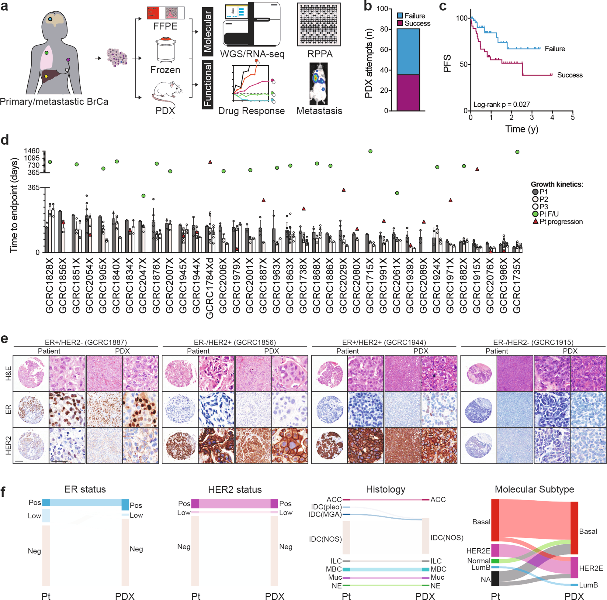 Chemogenomic profiling of breast cancer patient-derived xenografts reveals  targetable vulnerabilities for difficult-to-treat tumors | Communications  Biology