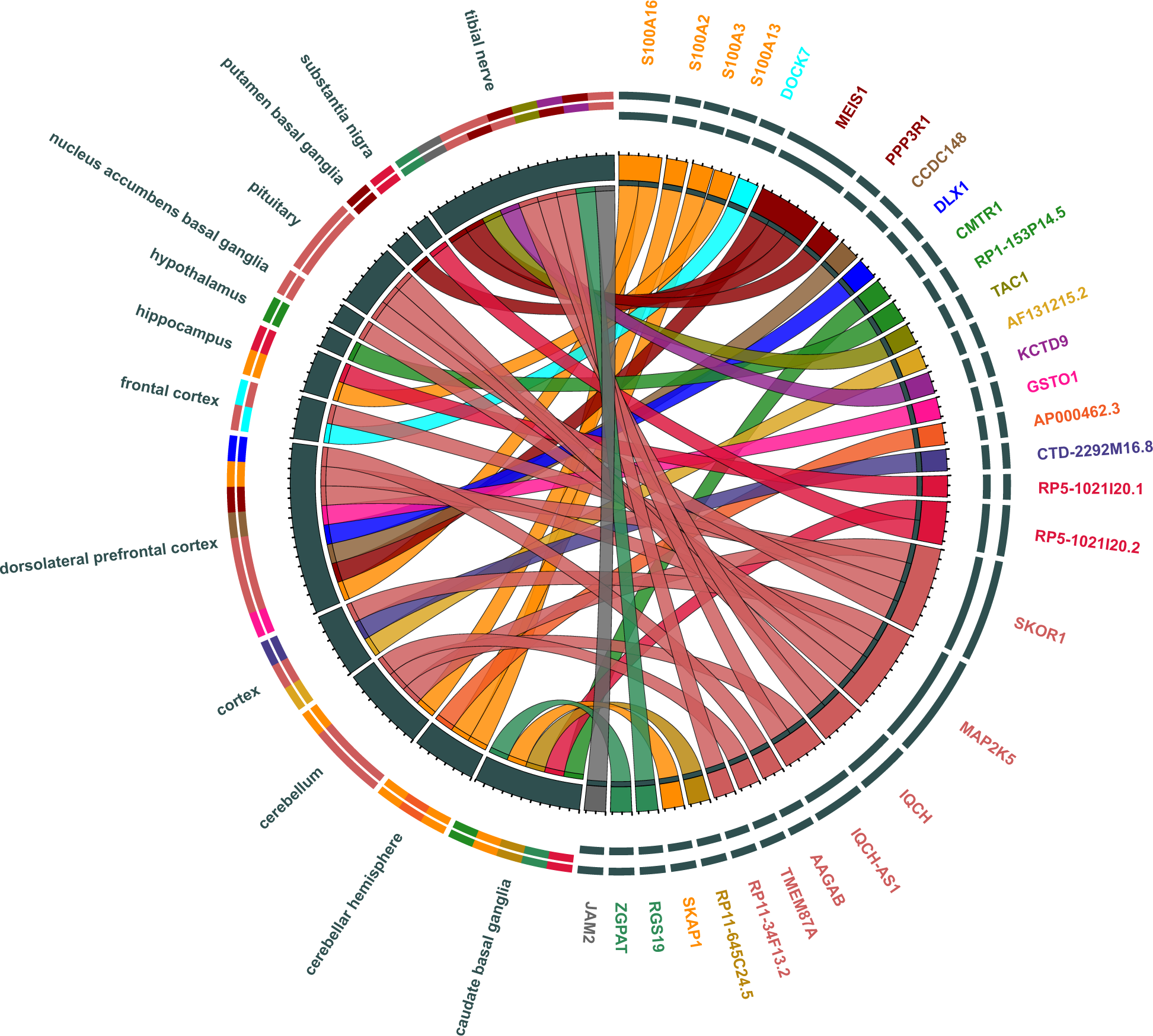 Fig. 2: Transcriptome-wide association study genes whose differential expression in relevant tissues was associated with restless legs syndrome.