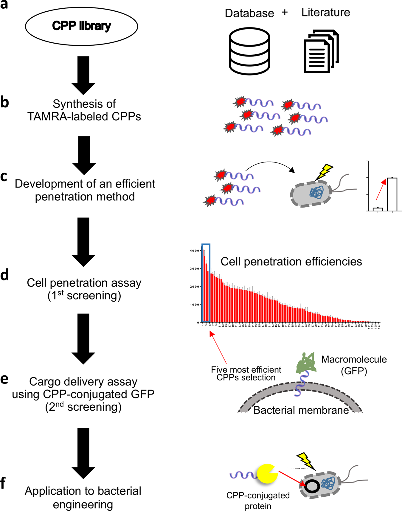 Cpp library. Marker selection Mac Gene in Aquaculture. Reaction on penetration. Reaction to penetration.