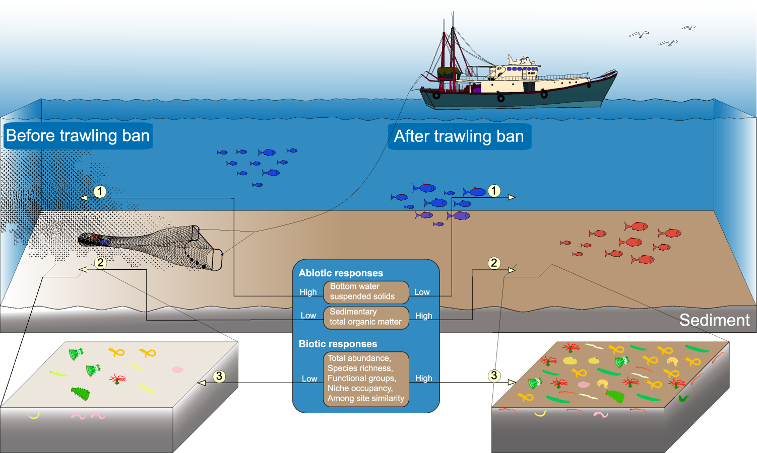 Multiple bottom otter trawls - Fishing gear type