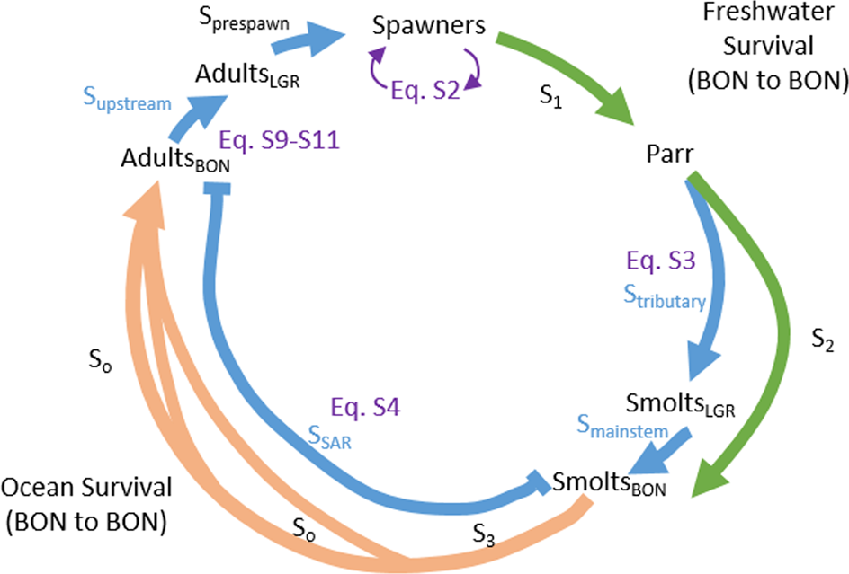 Fig. 8: Diagram of life-cycle model.