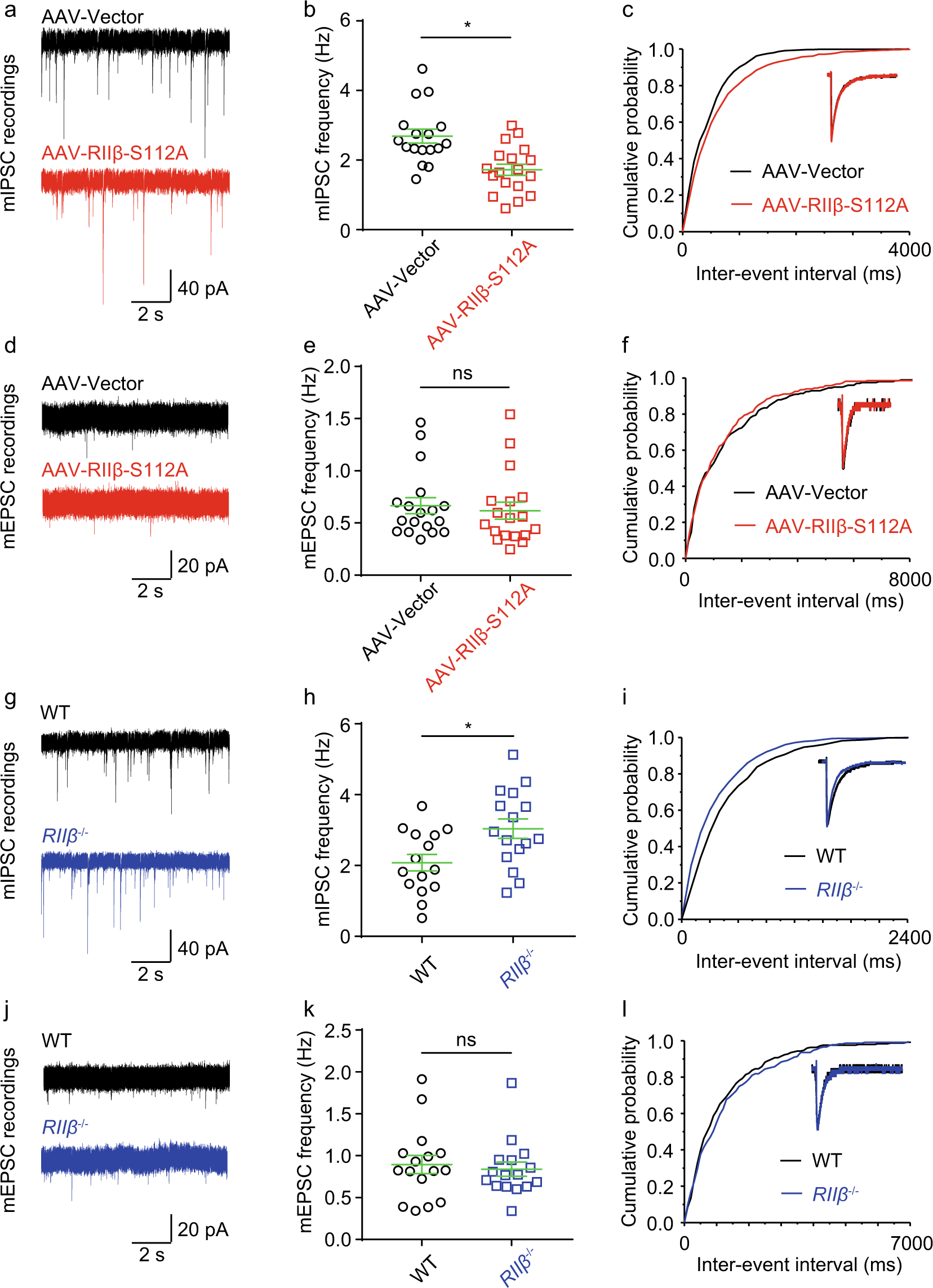 Fig. 4: Downregulation of autophosphorylation of RIIβ decreased inhibitory afferent, and RIIβ null increased inhibitory afferent of DG granule cells without changing excitatory afferent in mice.